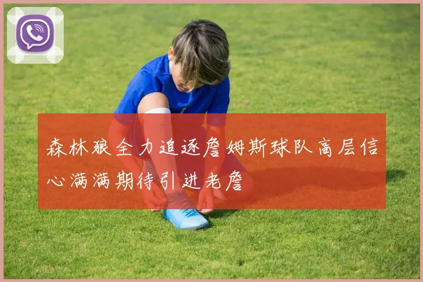 森林狼全力追逐詹姆斯球队高层信心满满期待引进老詹